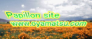 oyamatsu2.gif (24237 �o�C�g)